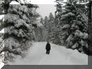 So viel Schnee