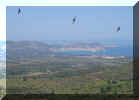 Blick von Montemaggiore auf Calvi (61254 Byte)
