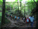 Wanderung im Wald